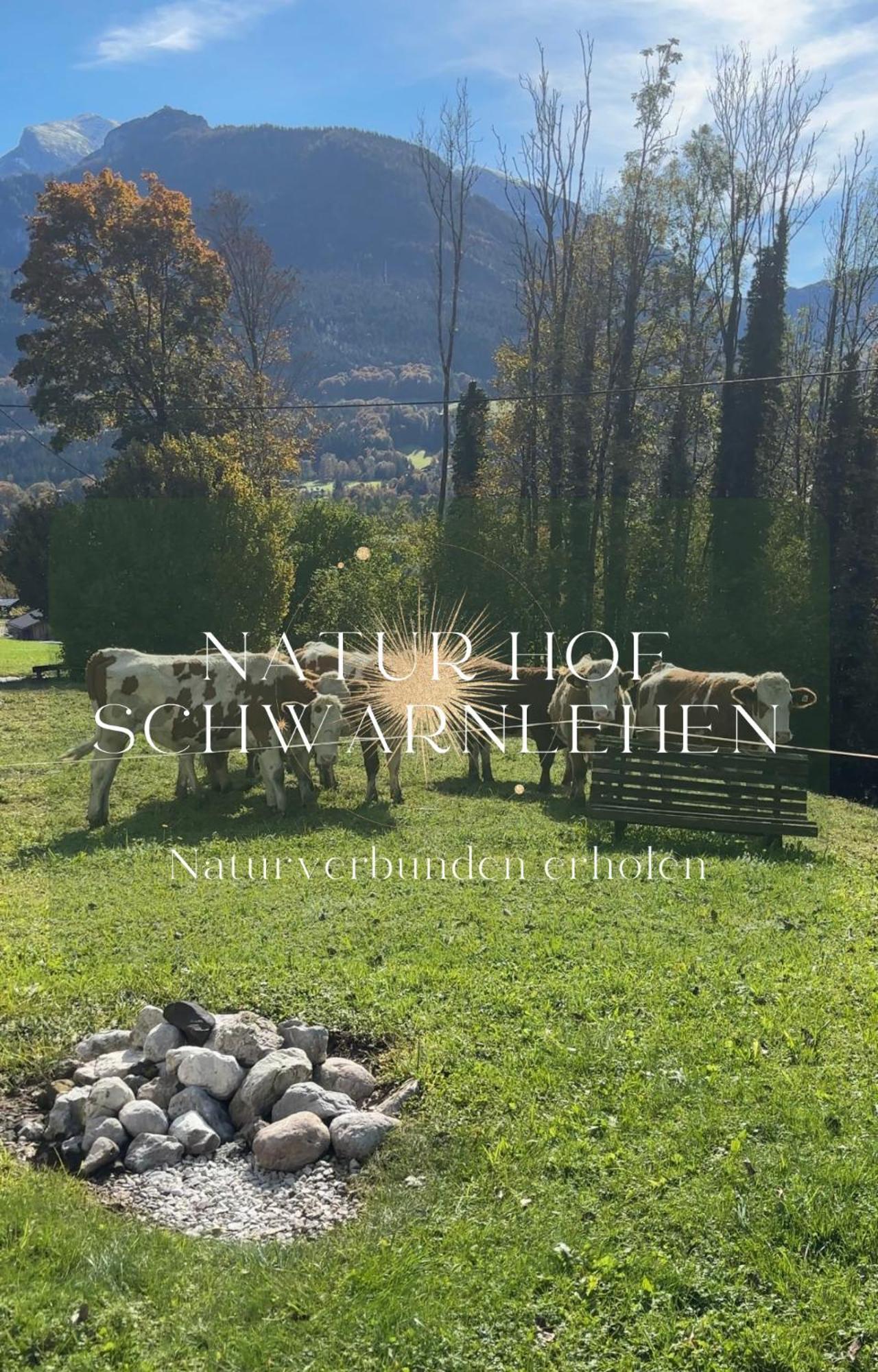 Natur Hof Schwarnlehen Berchtesgaden Ngoại thất bức ảnh