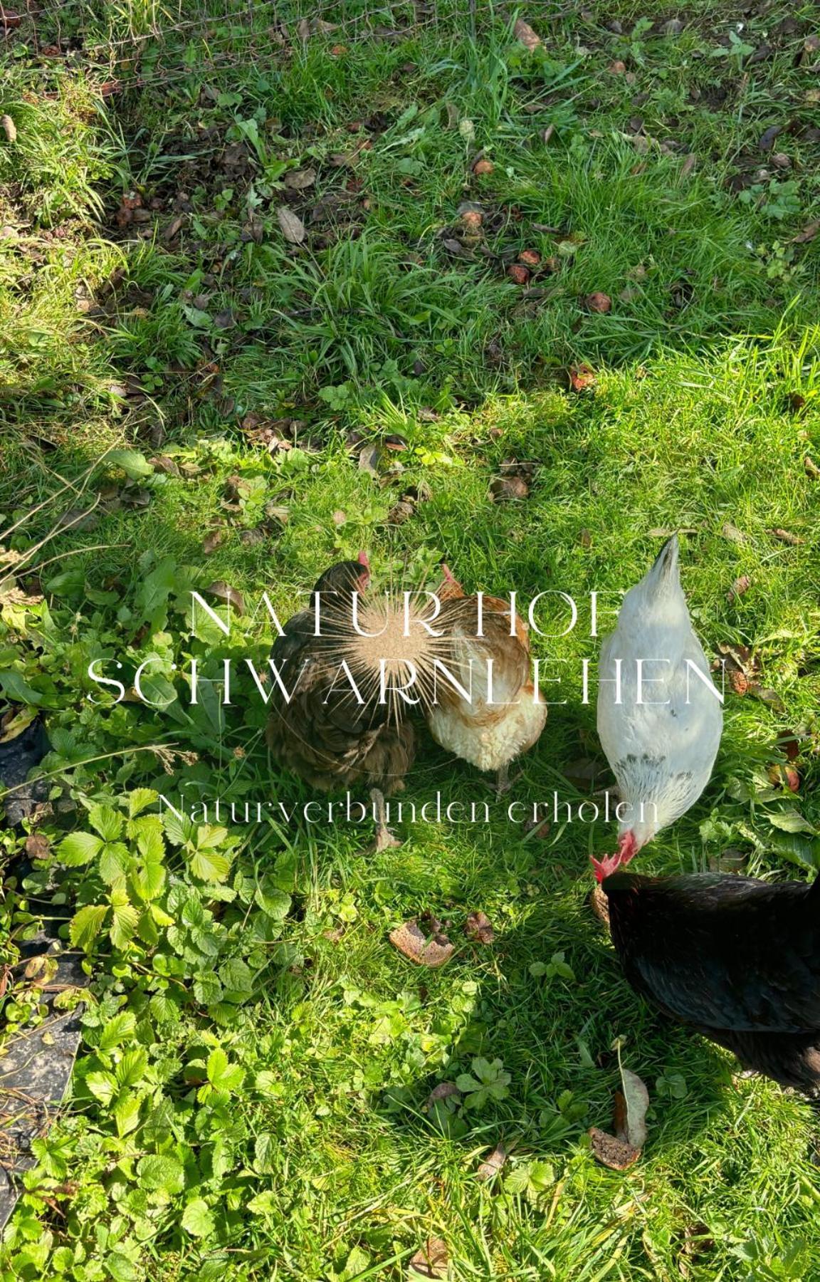Natur Hof Schwarnlehen Berchtesgaden Ngoại thất bức ảnh
